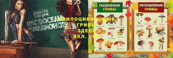 молекула духа Верхний Тагил